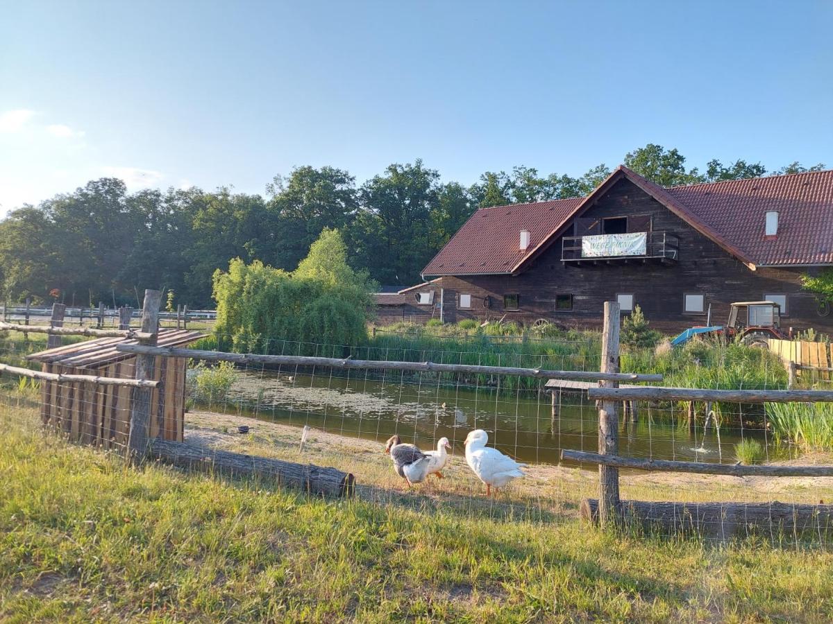 Hotel Stajnia Karczow Exteriér fotografie